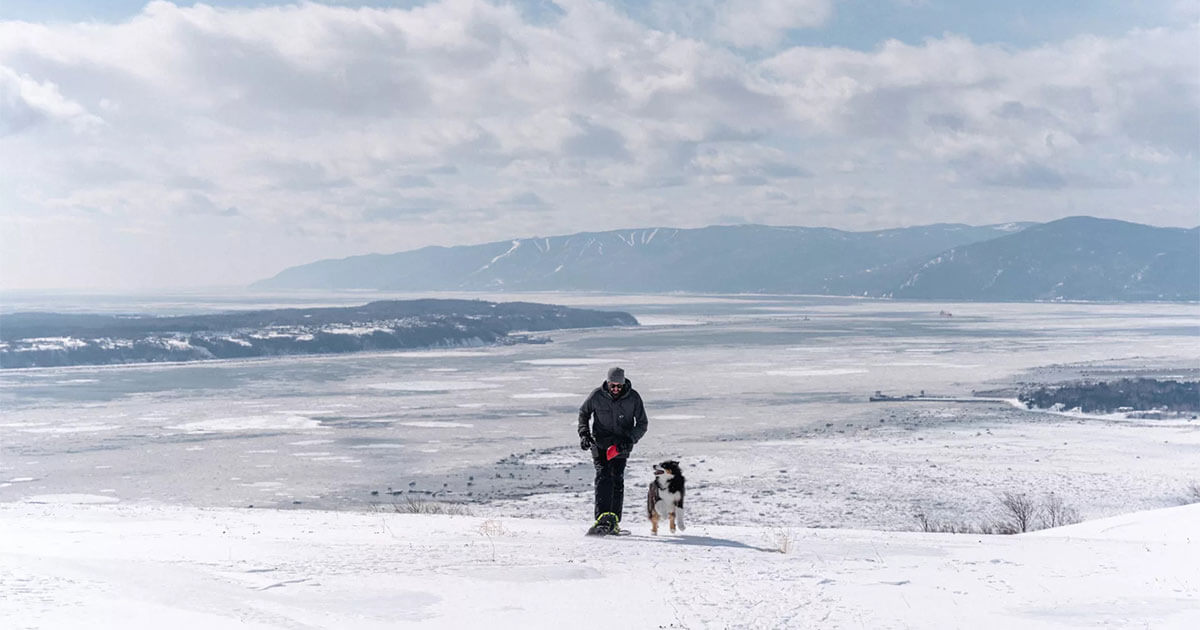 Louer un chalet avec son chien